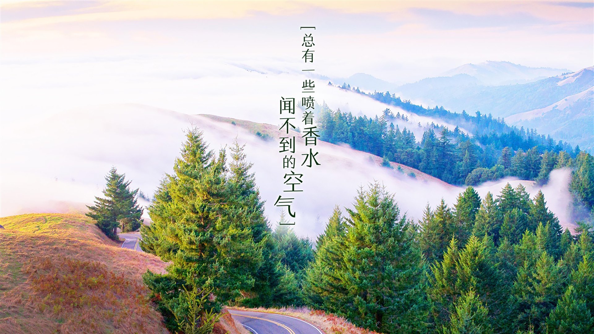 爱游戏用户专属-科比和库里的光辉事迹——两代传奇的篮球精神传承！，科比和库里的故事