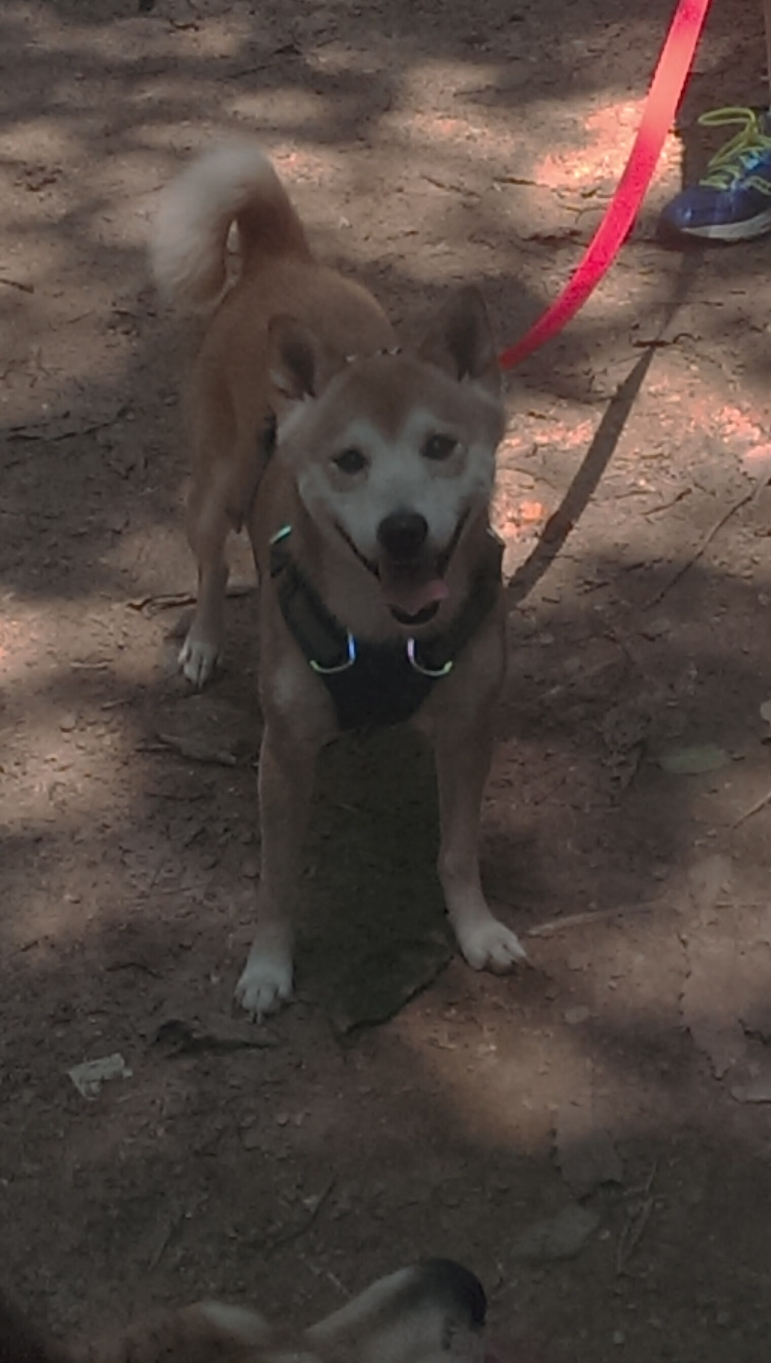 国足是否应加强与亚洲强队的交流合作，国足在亚洲还能赢谁