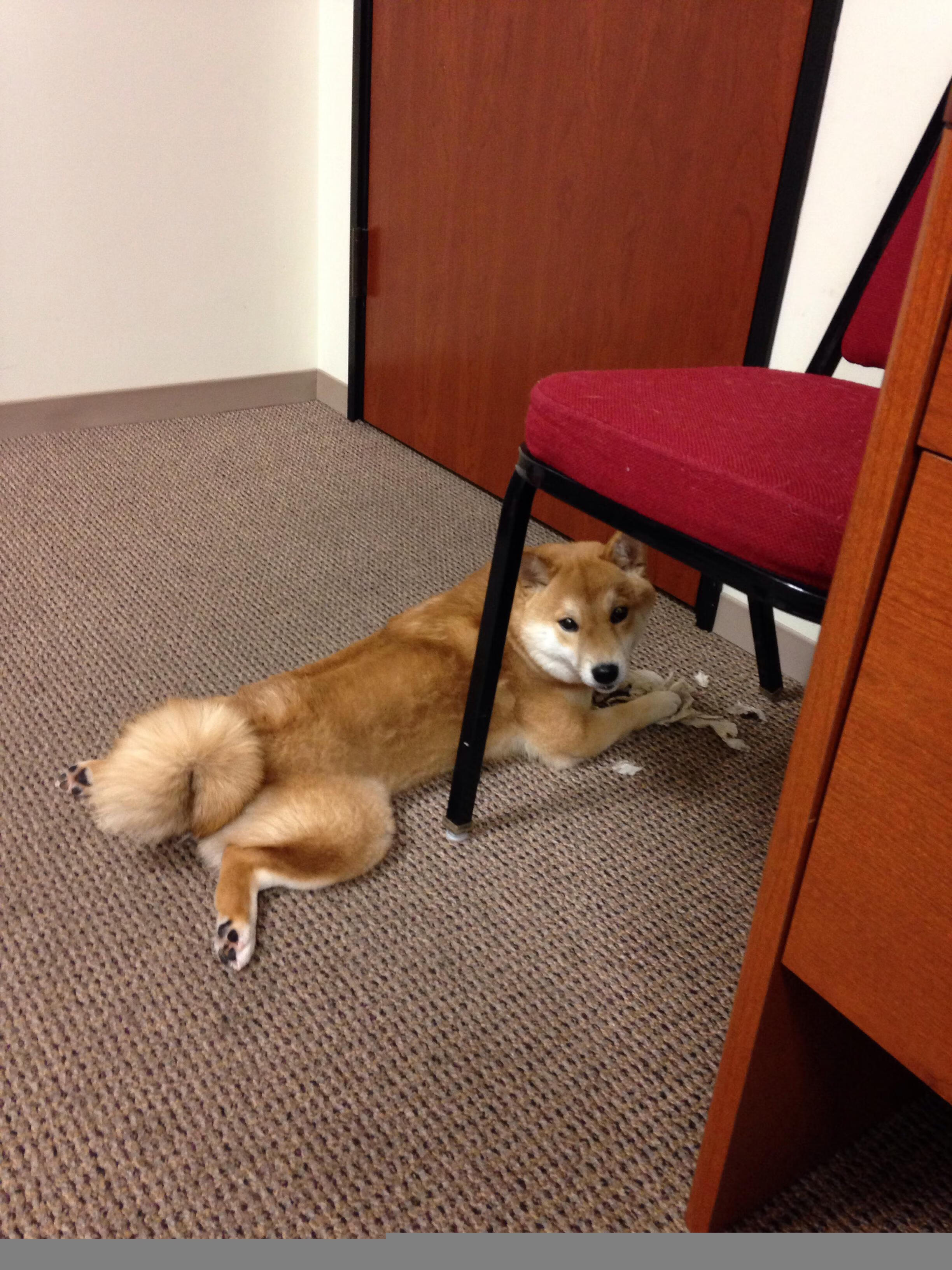 爱游戏智能体验-尤文图斯主场告捷，稳居积分榜第二，尤文图斯 联赛