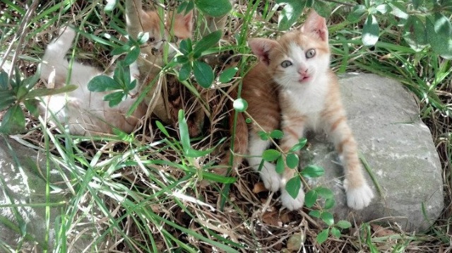 爱游戏娱乐-巴萨客场0-2不敌皇马，遭遇赛季首败