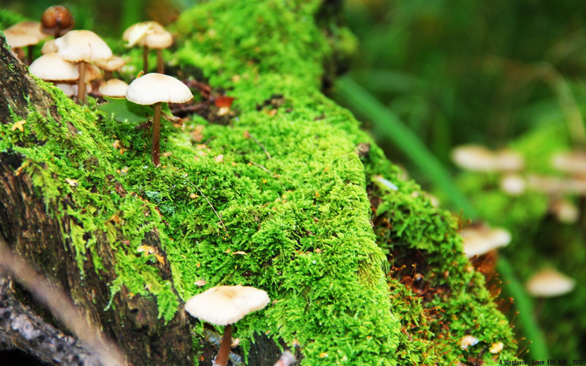 巴萨客场0-2不敌皇马，遭遇赛季首败