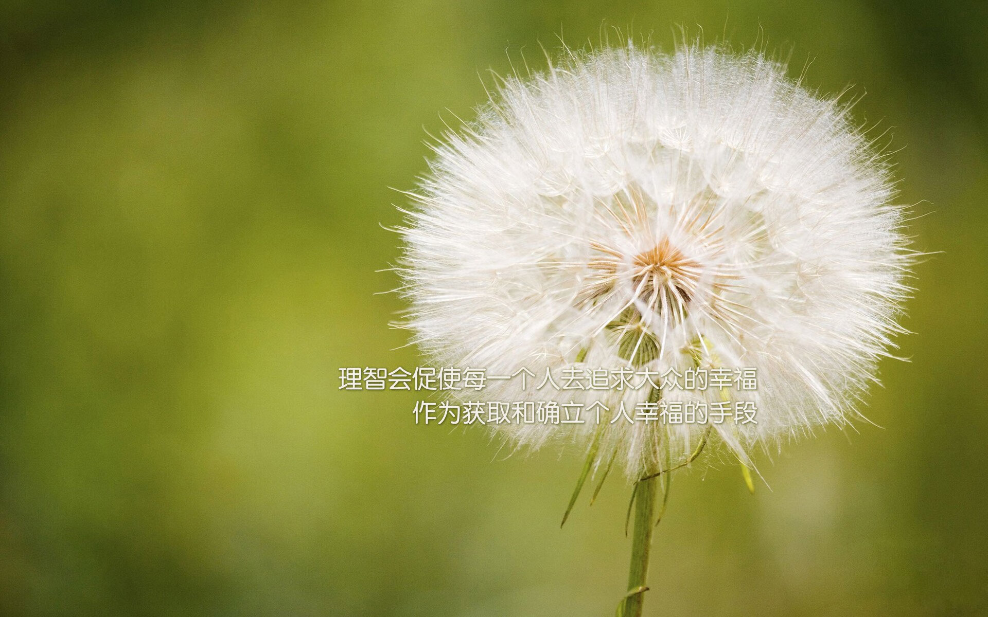 巴萨主场3-0战胜皇家社会,进攻火力全开