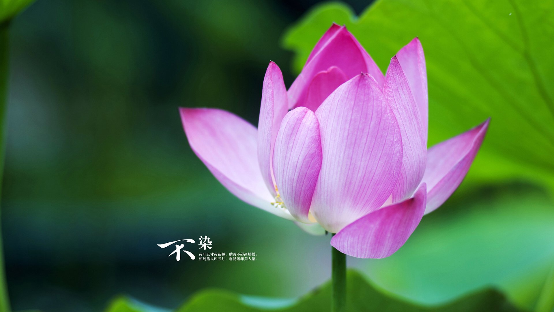 广州队防守表现稳固，广州队最近消息