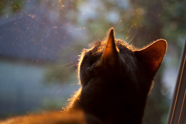 快船被马刺拦在通往胜利的道路上，2021快船马刺比赛