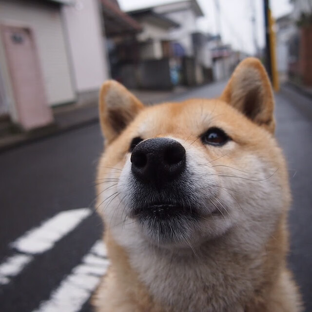 “成都滑轮赛场,年轻选手挑战历史,激烈角逐进行时”