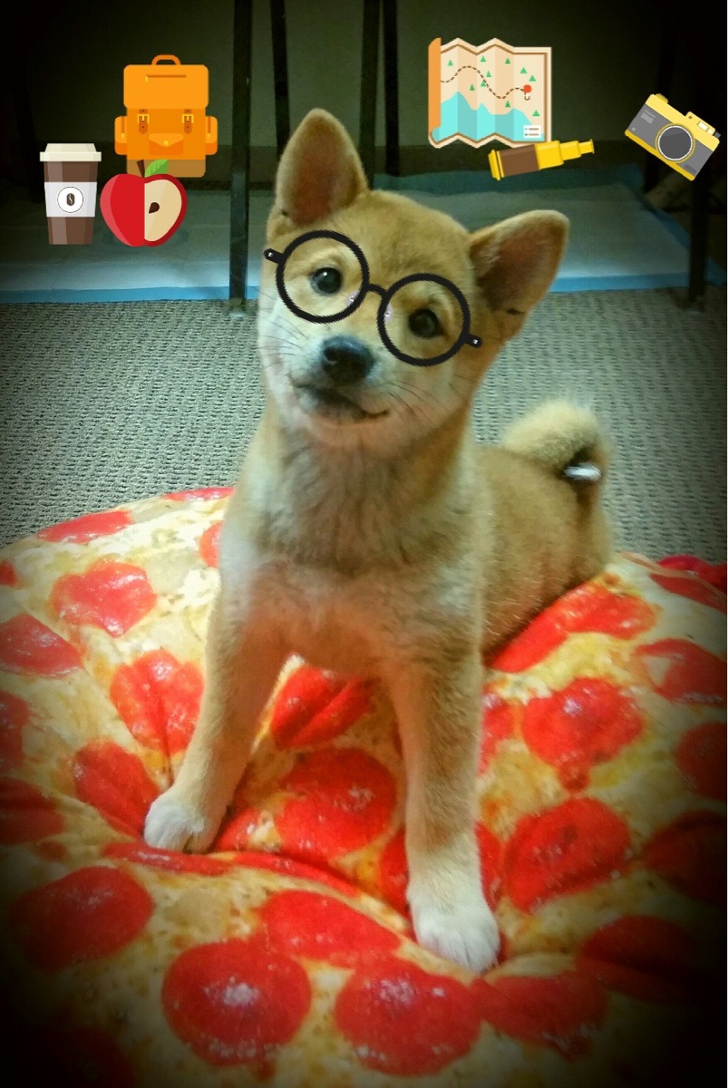 爱游戏游戏平台-世界杯中国队战平 球迷热议技战术细节，世界杯中国队形势