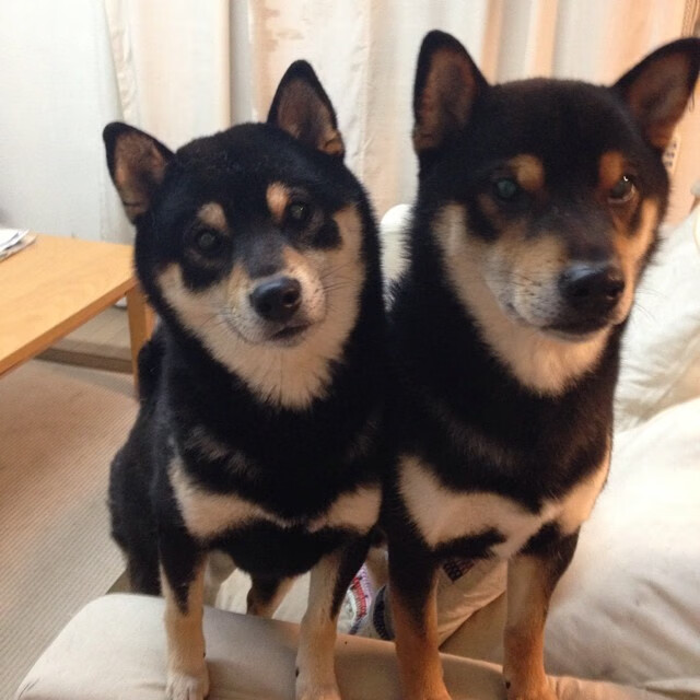 爱游戏官方-中国三人篮球全国赛落幕 年轻球员大放异彩，中国三人篮球队