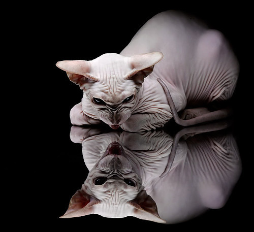 中国三人女篮保持高强度训练 提升整体实力,中国三人女篮球名单