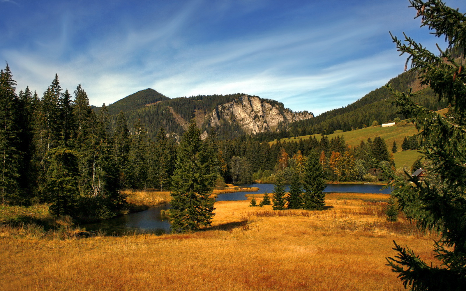 中锋拿球区域是否决定中场支援速度,中锋拿不到球