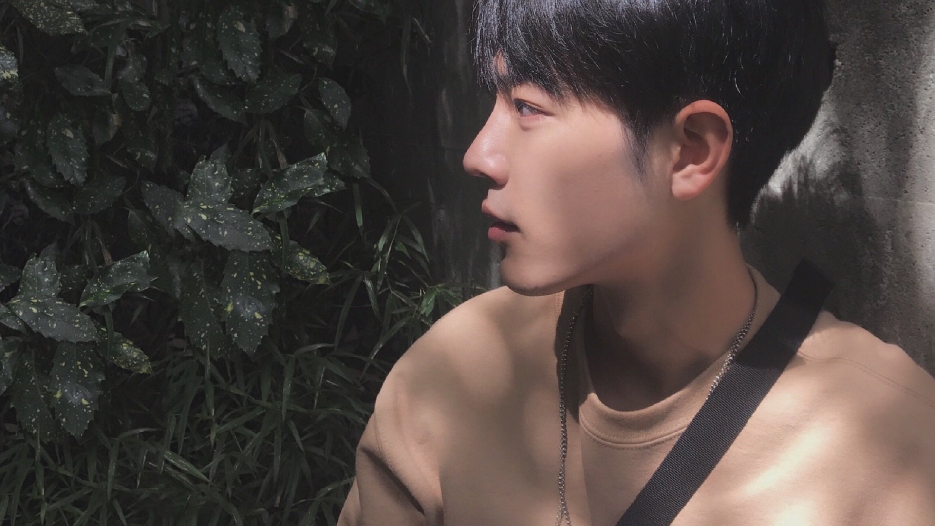 埃及队未来目标：通过全球化战略提升本土影响力，几乎埃及所有球迷