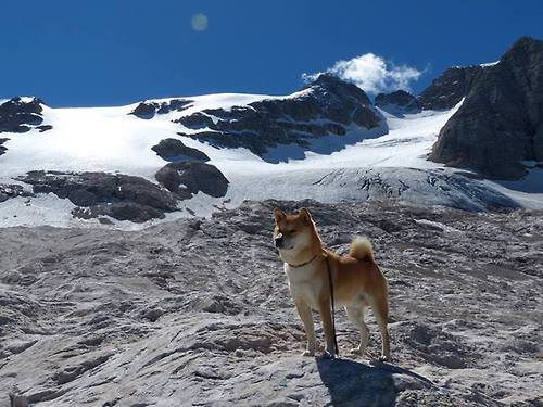 埃及队未来目标：通过全球化战略提升本土影响力，几乎埃及所有球迷